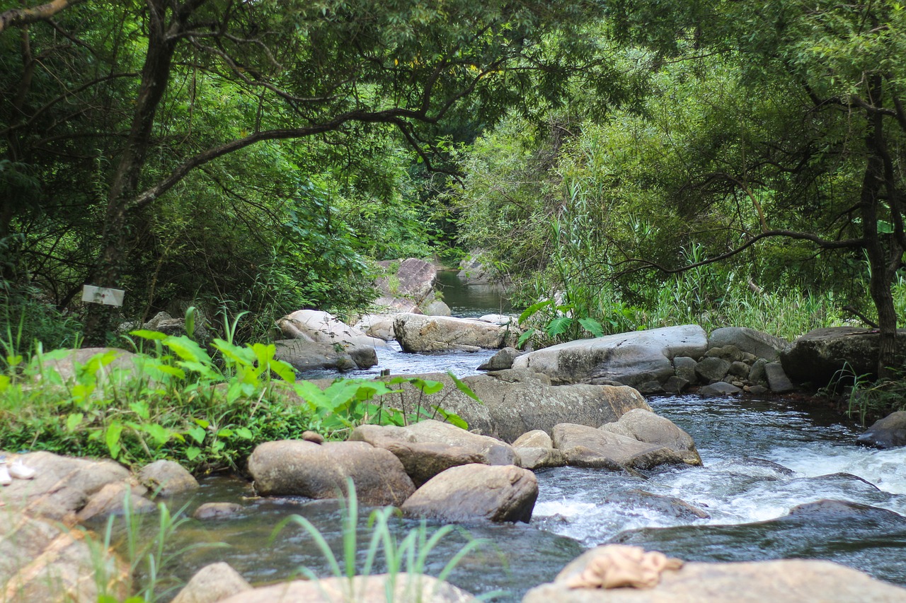 bhumibol dam reservoir water free photo