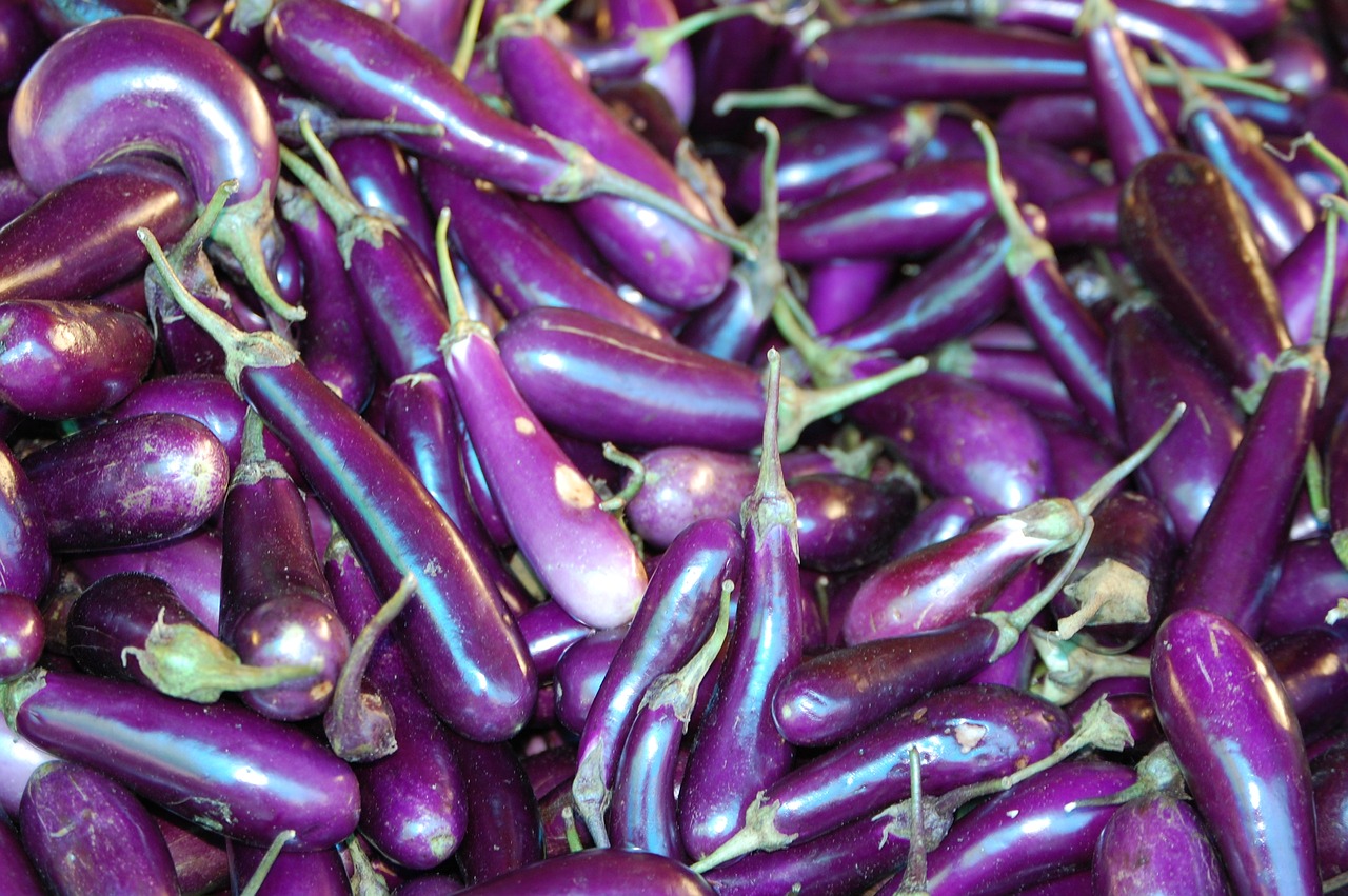 bhutan  organic  eggplant free photo