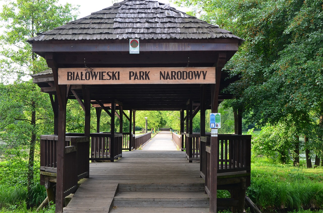 białowieża the national park entrance free photo