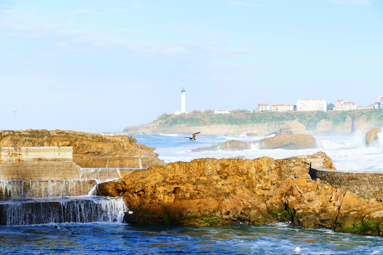 biarritz  sea  ocean free photo