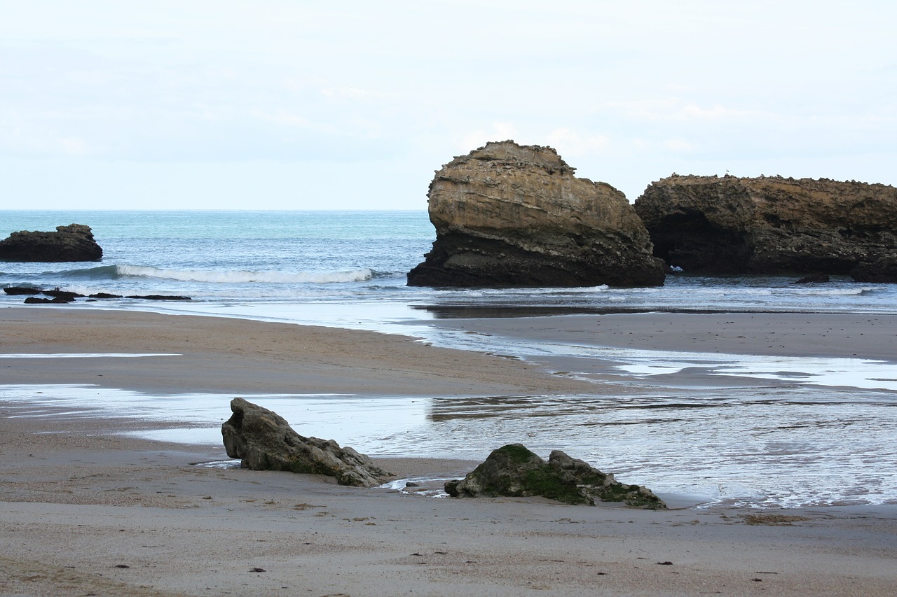 biarritz beach sand free photo