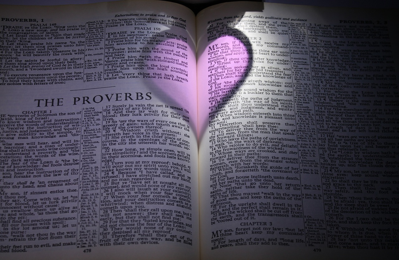 bible proverbs heart free photo