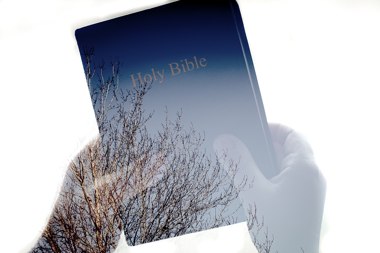 bible reading book free photo