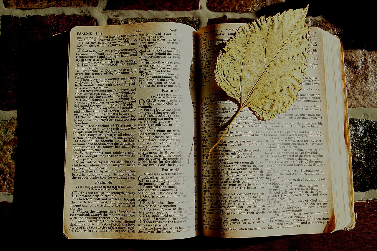bible bookmark dried leaf free photo