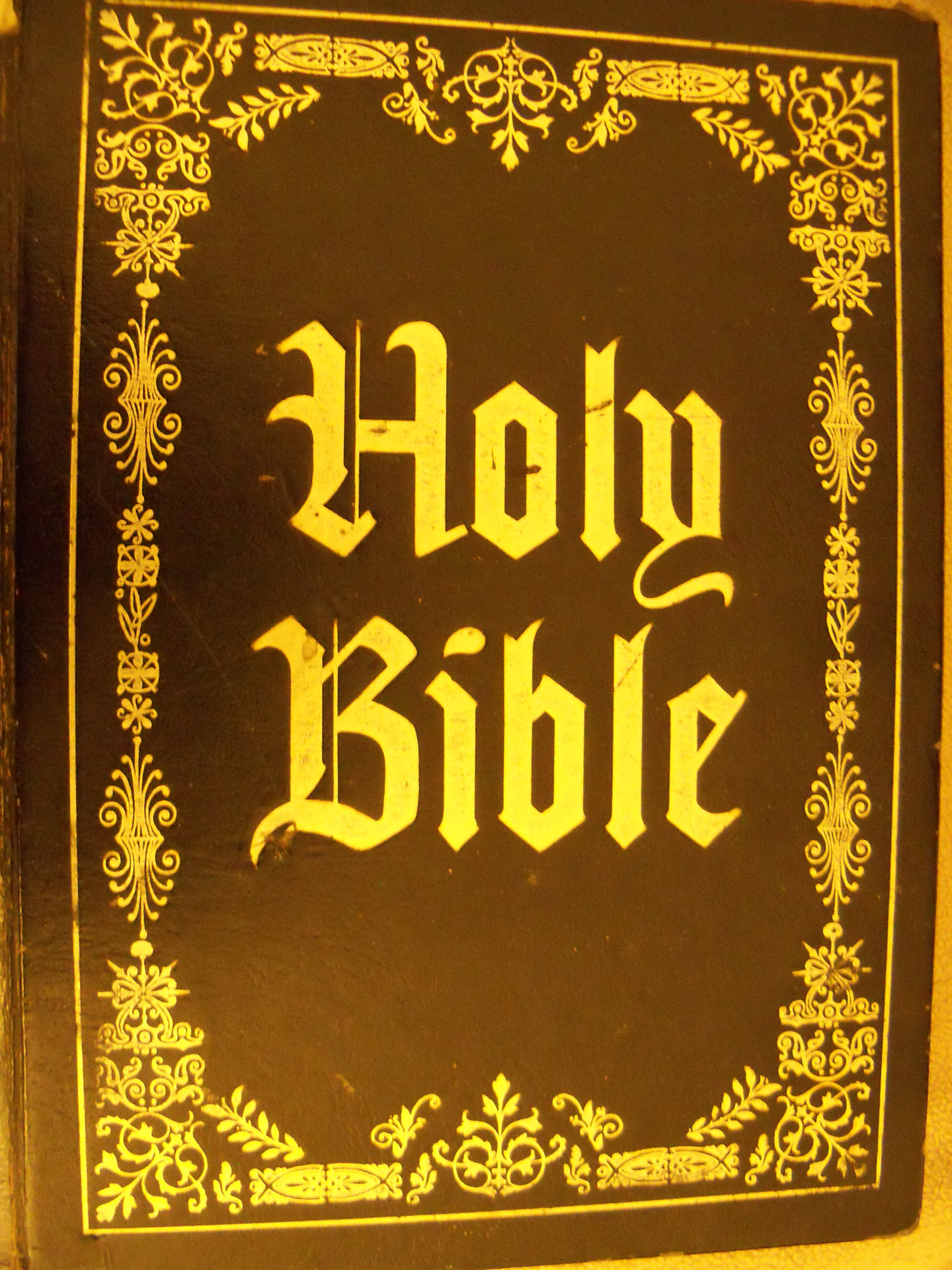 bible bibles god free photo