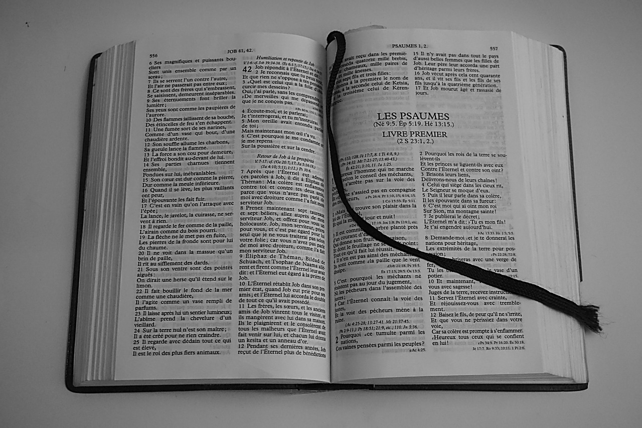 bible religion reading bible free photo