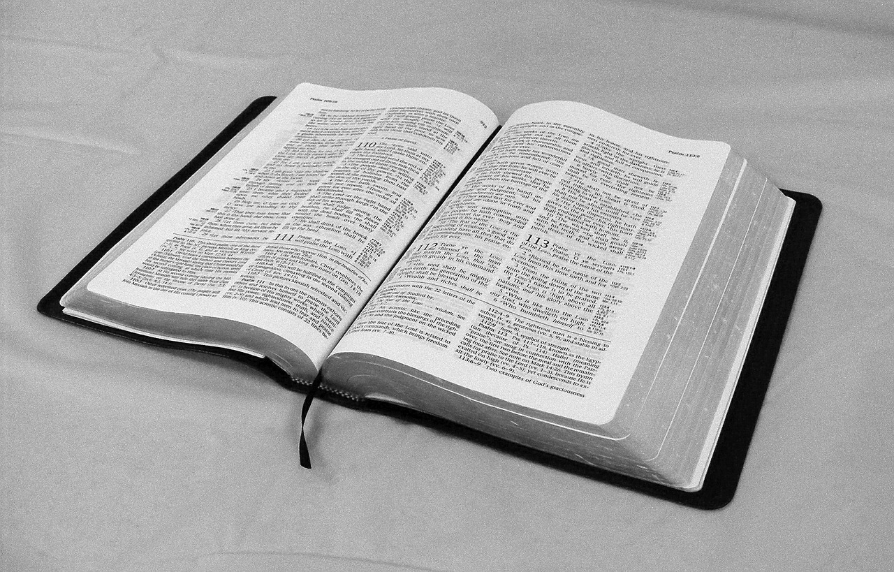 bible book text free photo