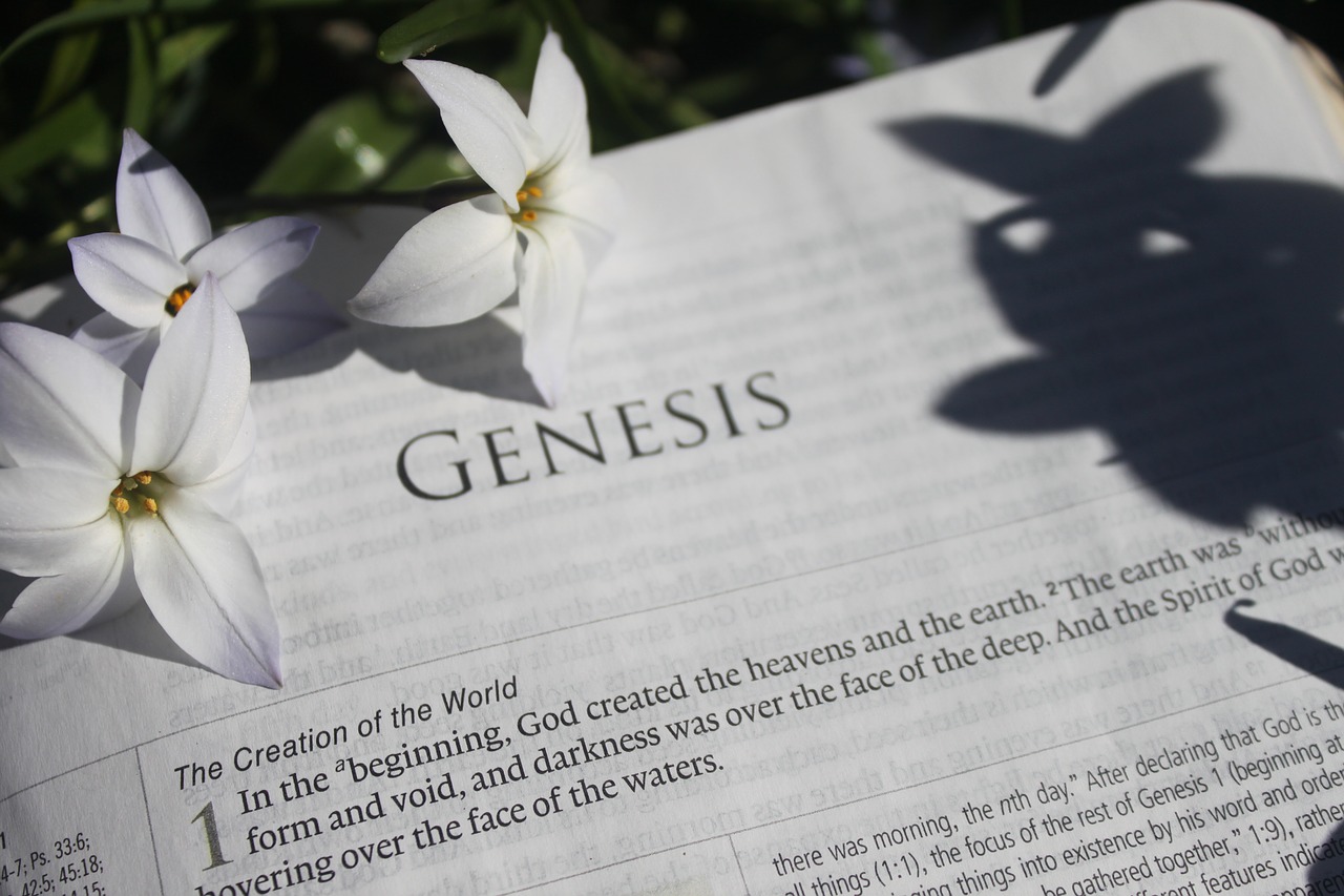 bible  creation  genesis free photo