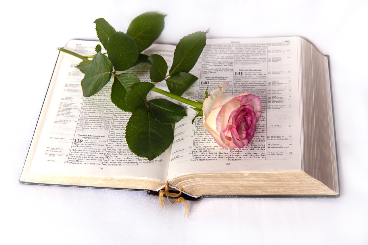 bible rose church free photo