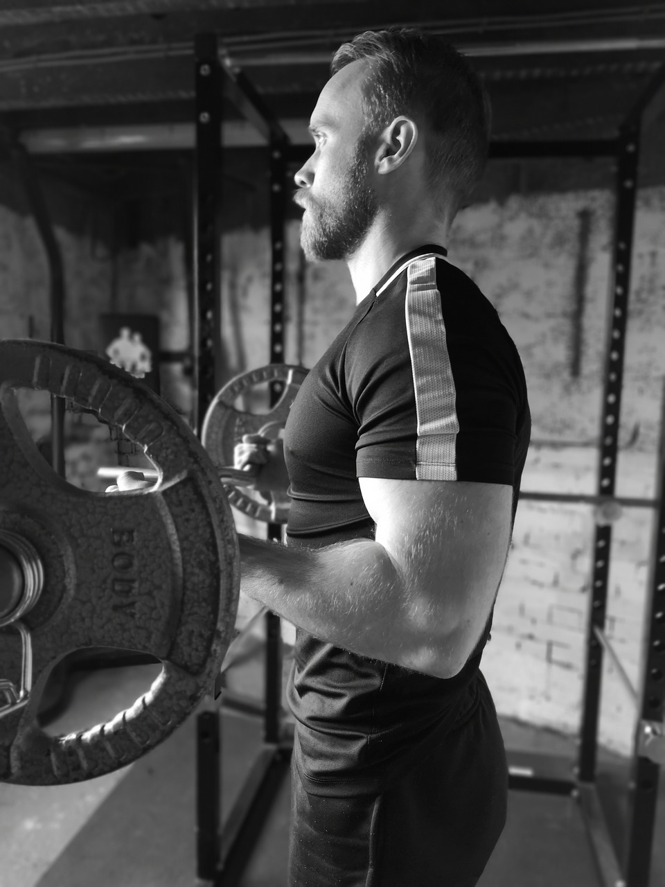 bicep curl  weights  strength free photo