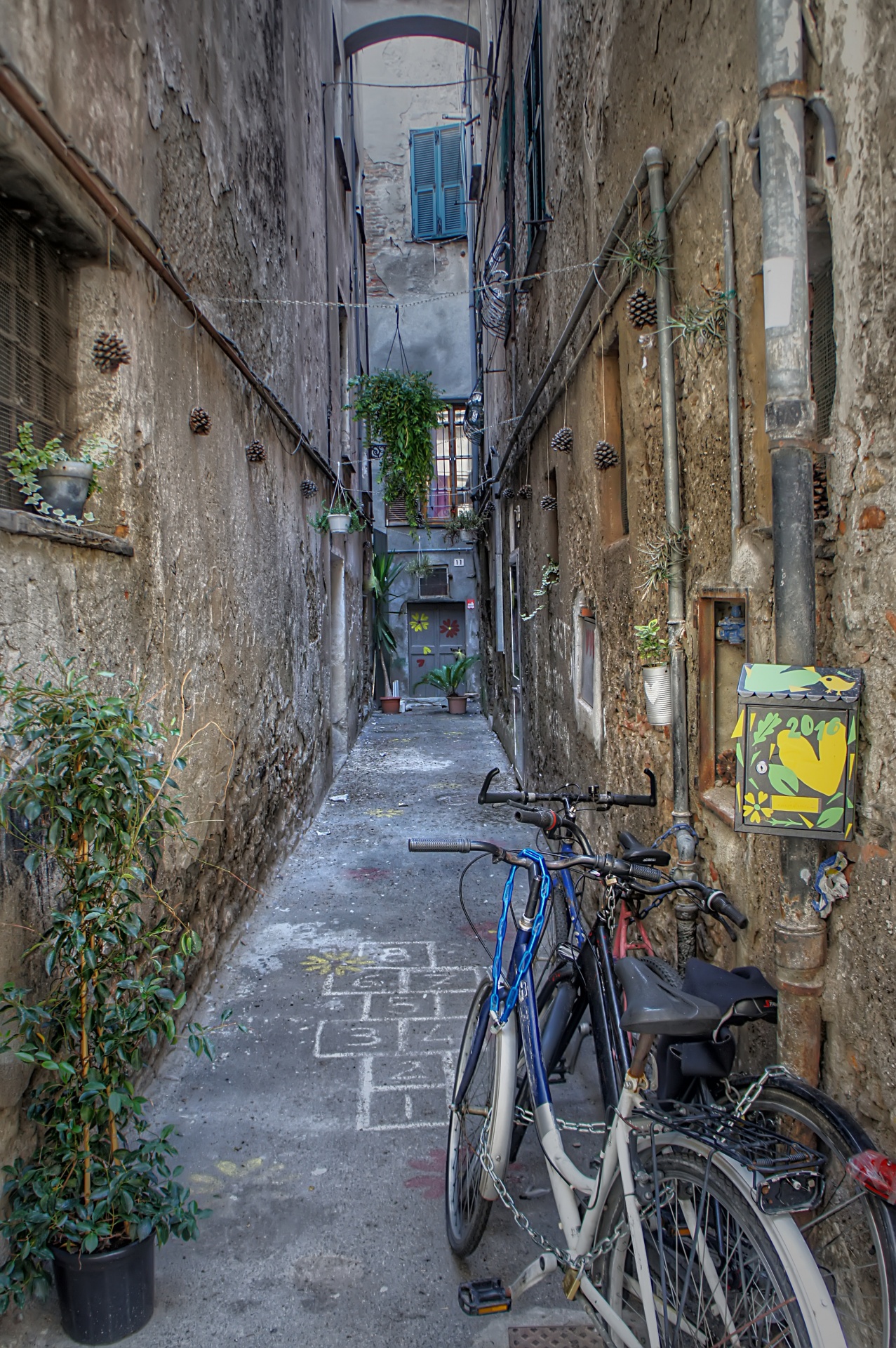 bicycles alley quaint free photo