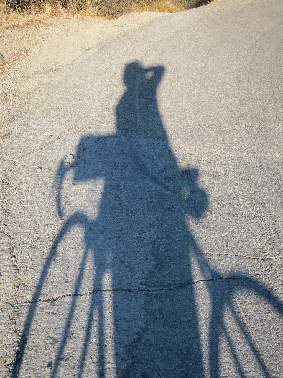 bicycle shadow projection free photo