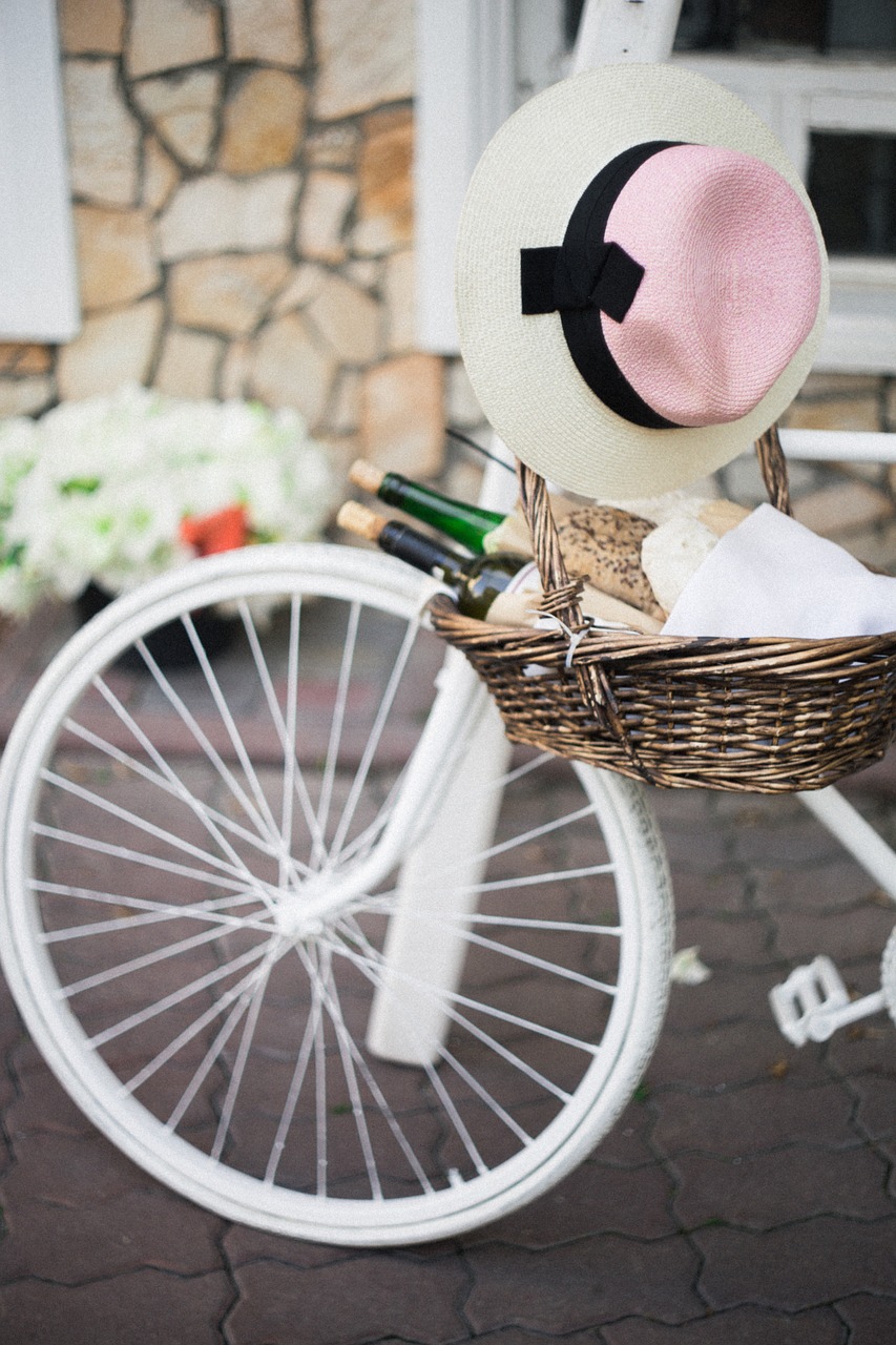 bicycle wine picnic free photo