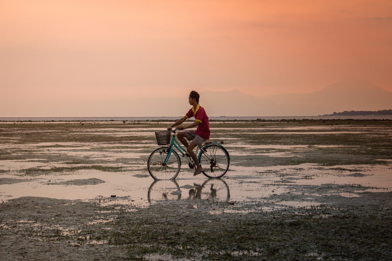 bicycle bicycle riding bike free photo