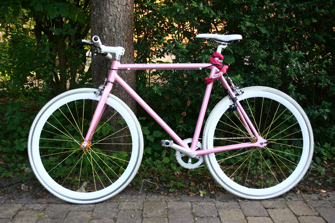 bicycle cycle wheels free photo