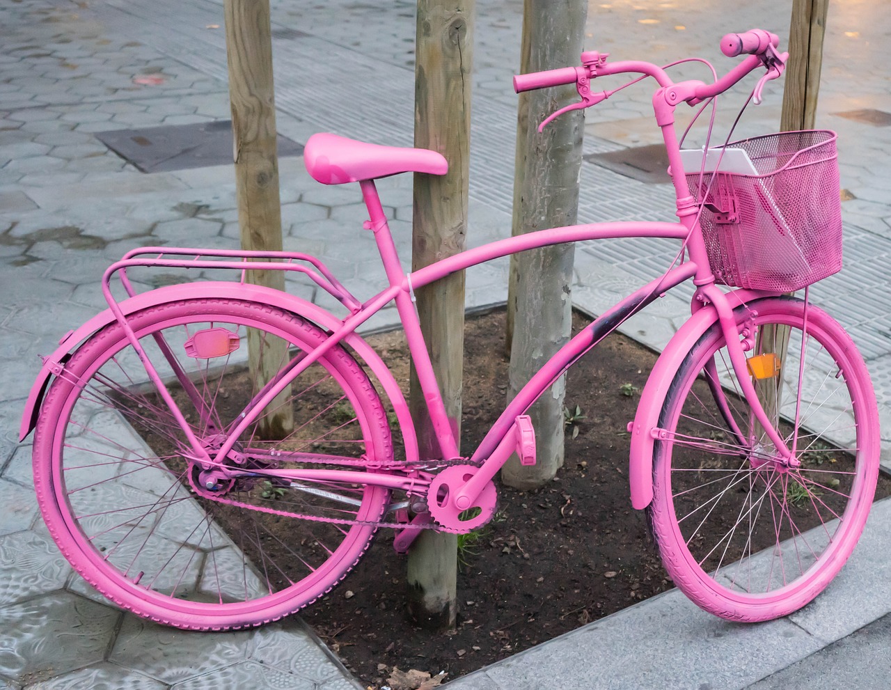 bicycle pink bike free photo