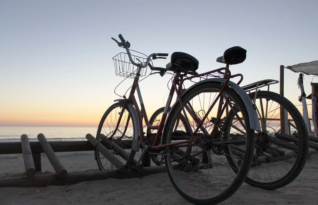 bicycle retro sunset free photo