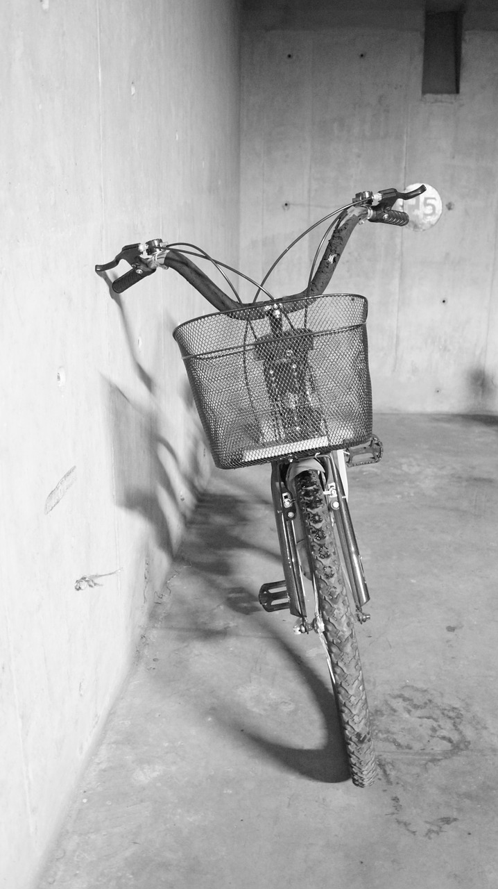 bicycle traveller transport free photo