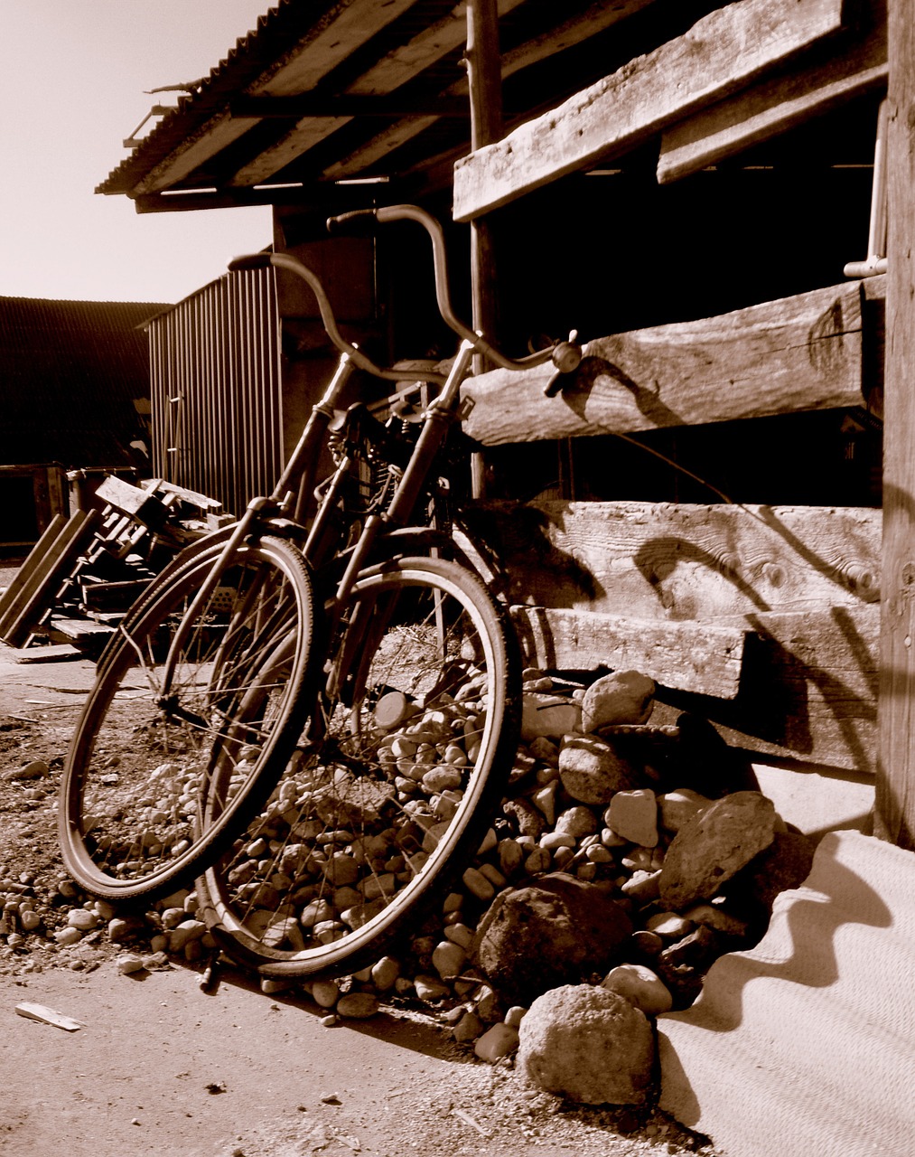 bicycle old bike free photo