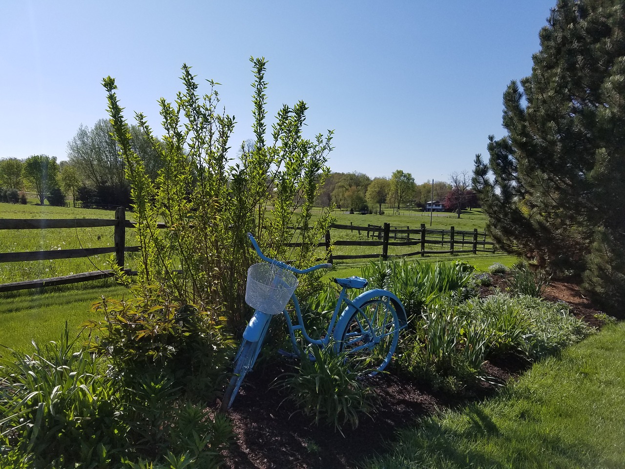 bicycle antique farm free photo