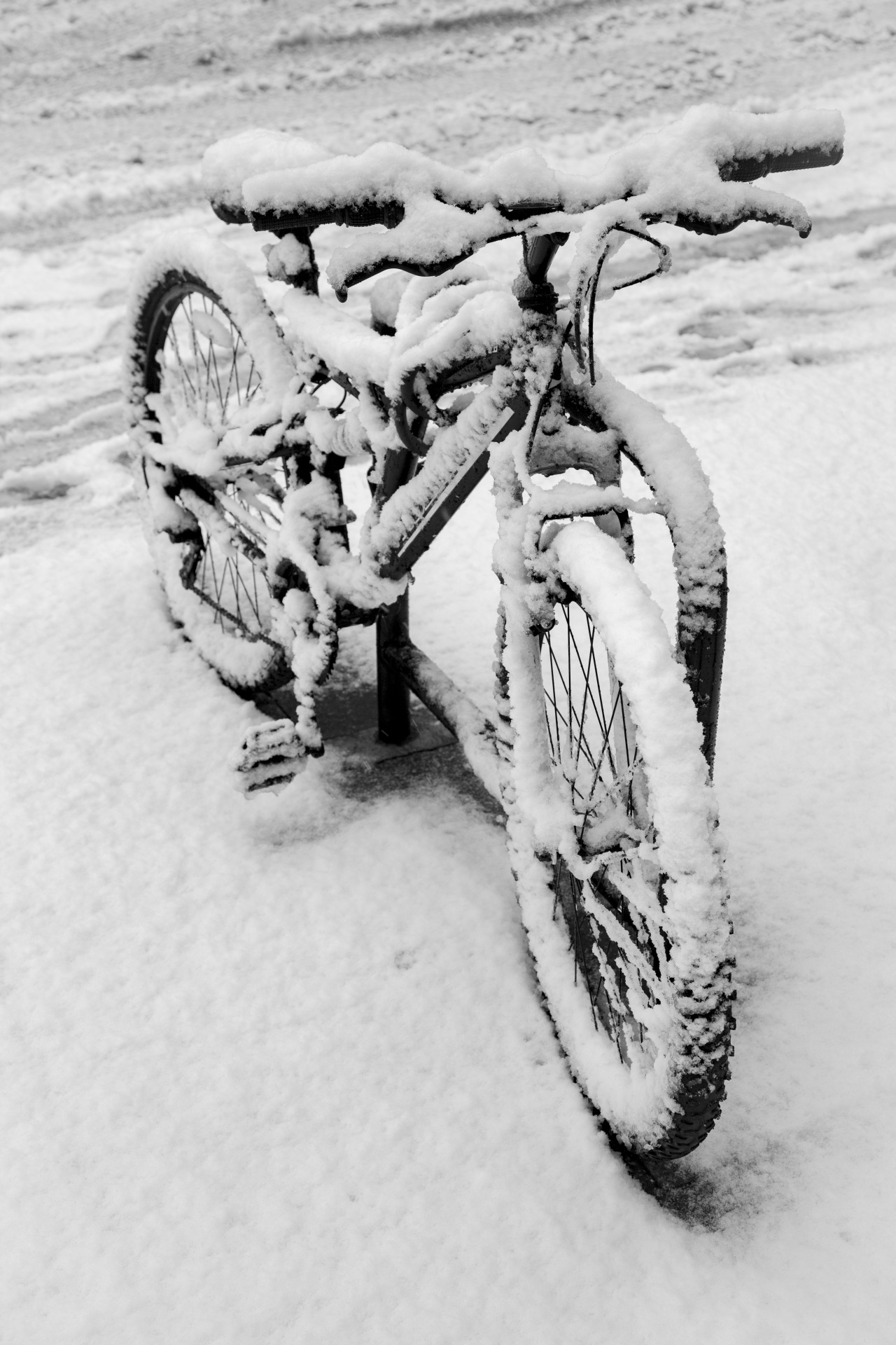 bicycle snow snowy free photo