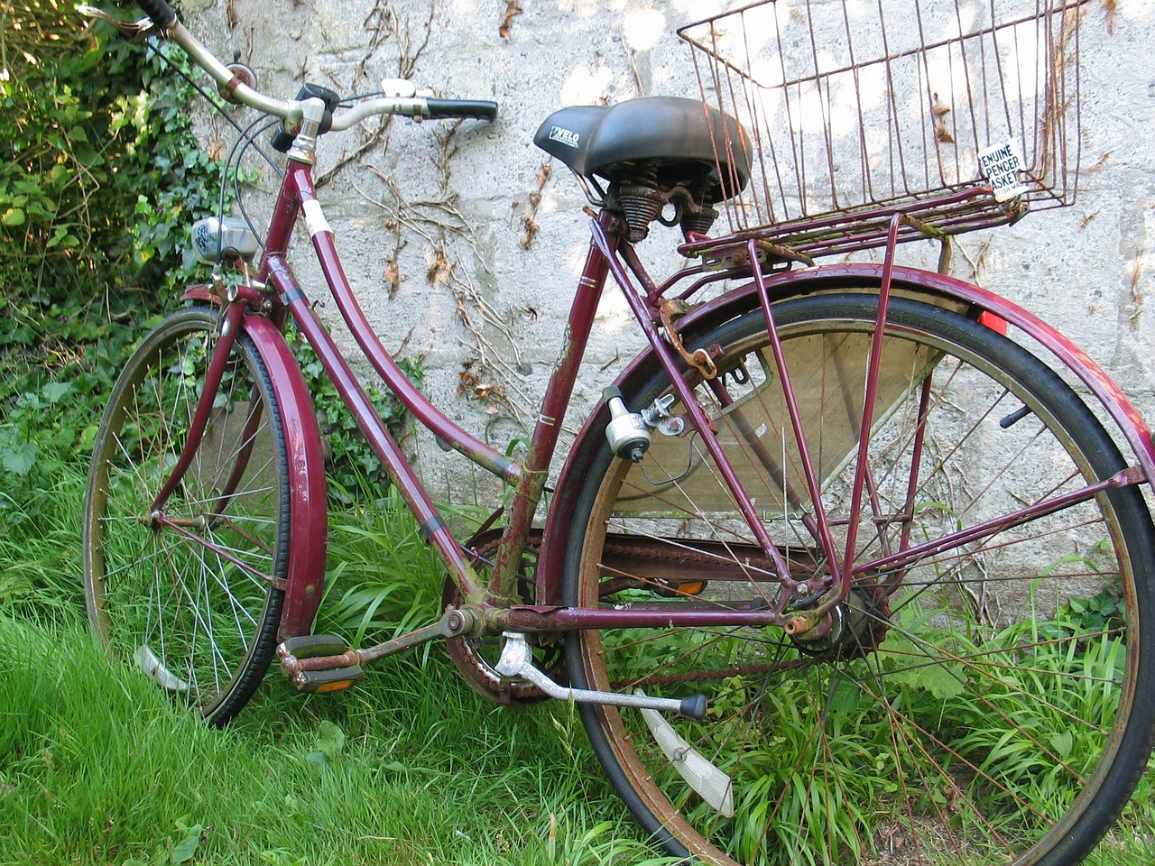 bicycle bike garden free photo