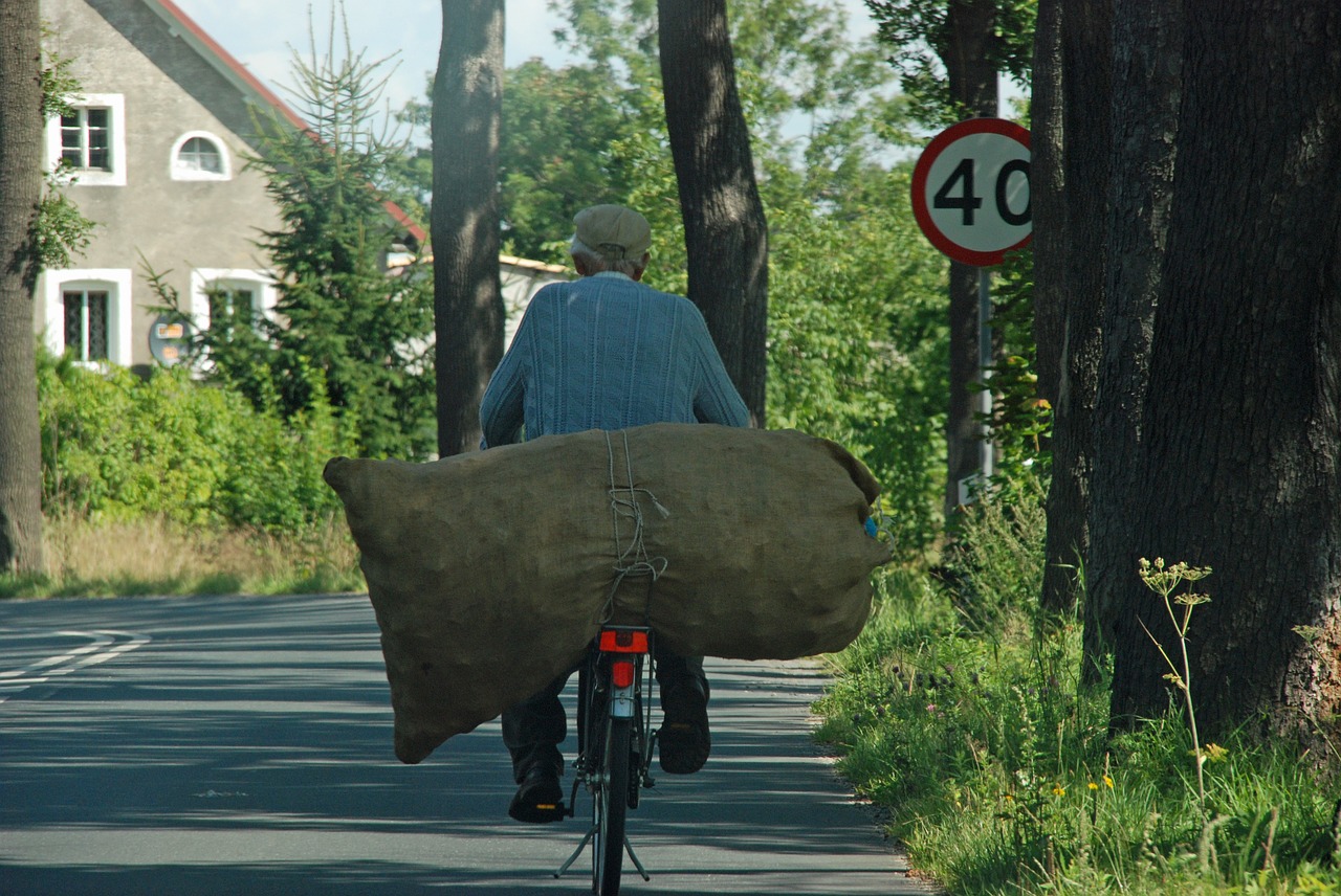 bicycle transport bag free photo