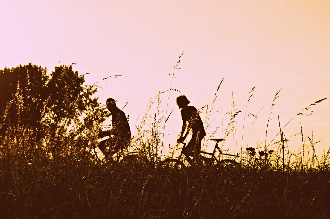 bicycle cyclist biking free photo