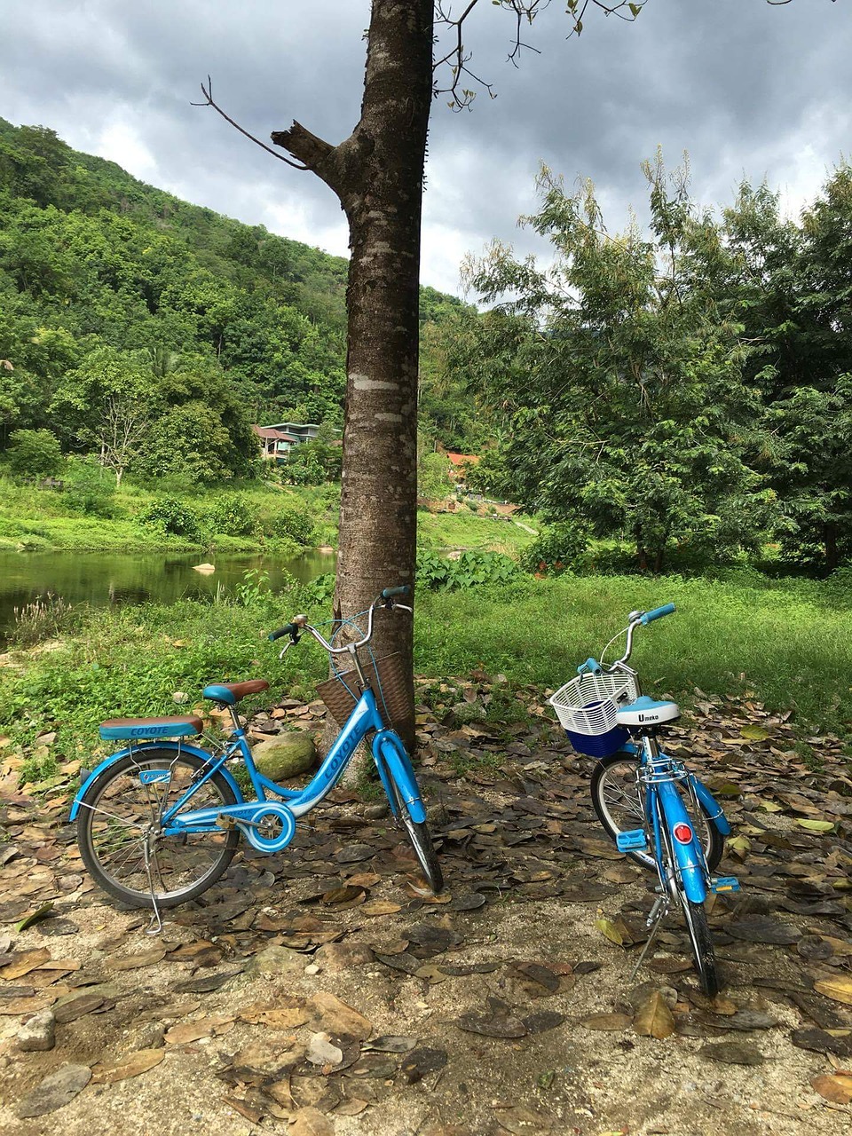 bicycle trip relax free photo