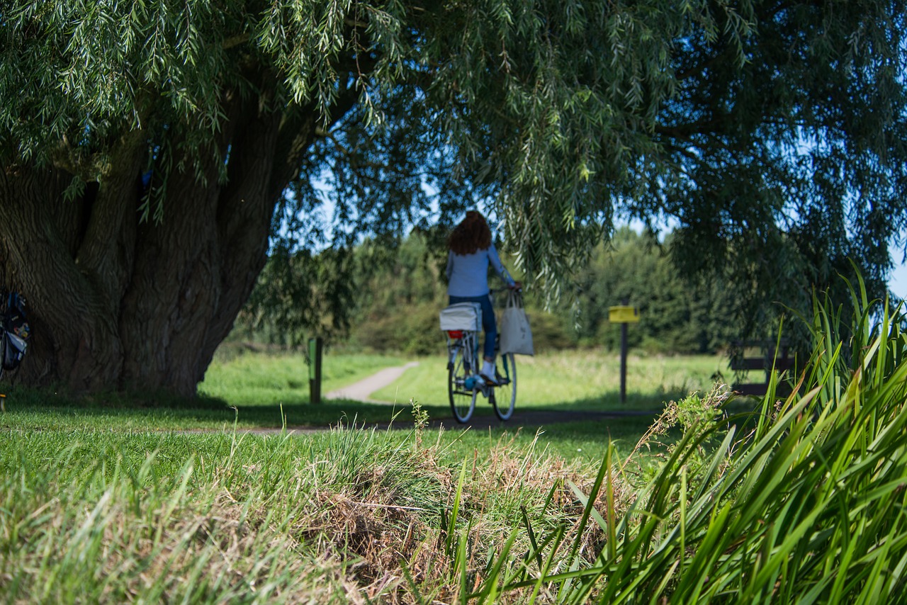 bicycle woman park free photo