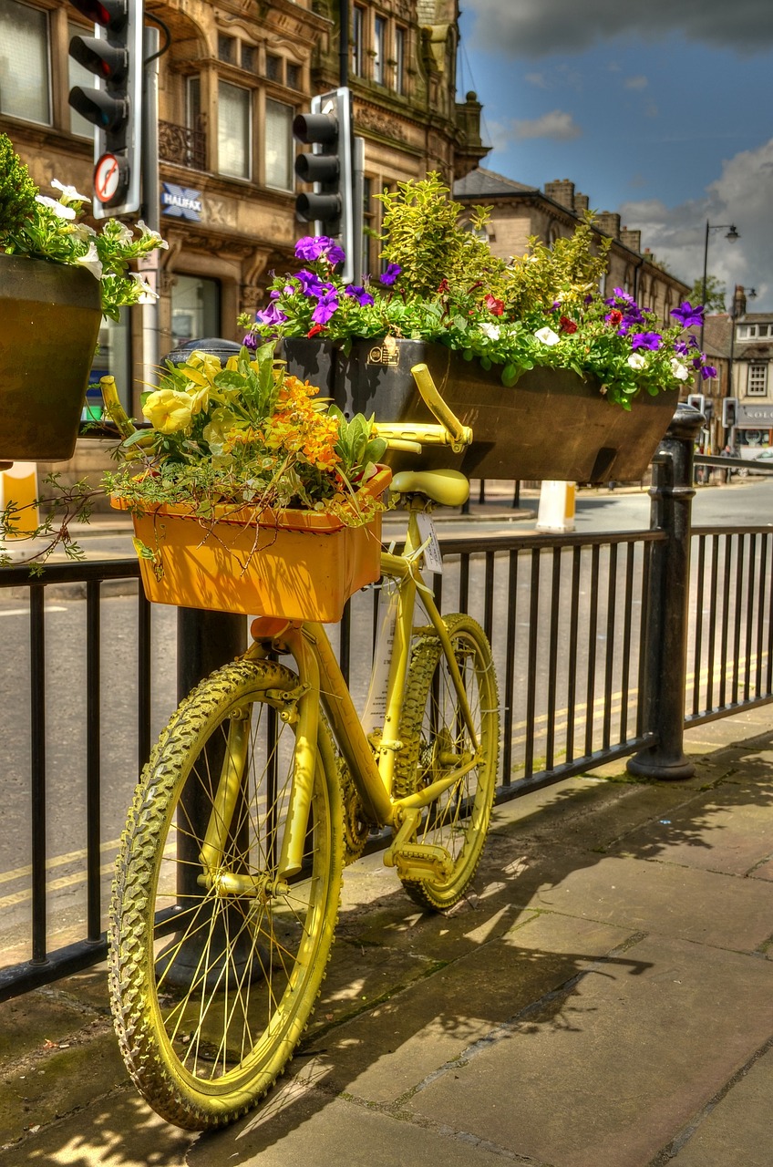 bicycle flower box floral display free photo