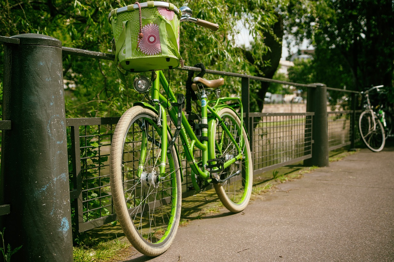 bicycle bike cycle free photo