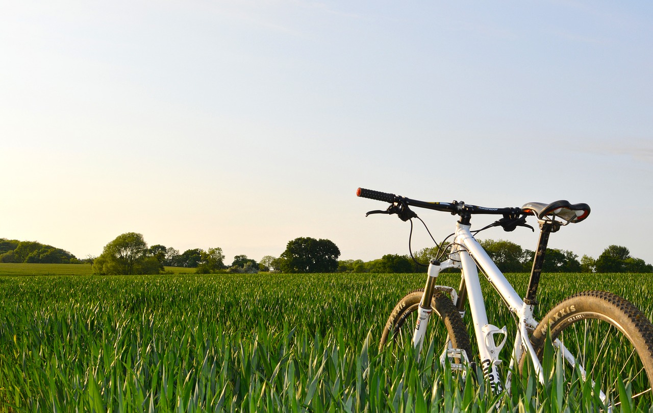 bicycle bike countryside free photo