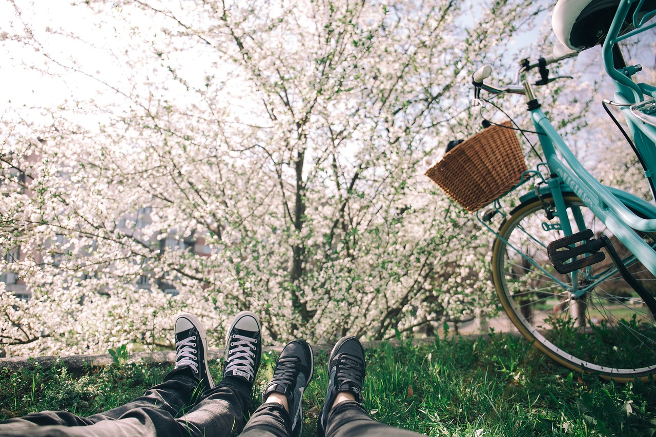 bicycle bike feet free photo