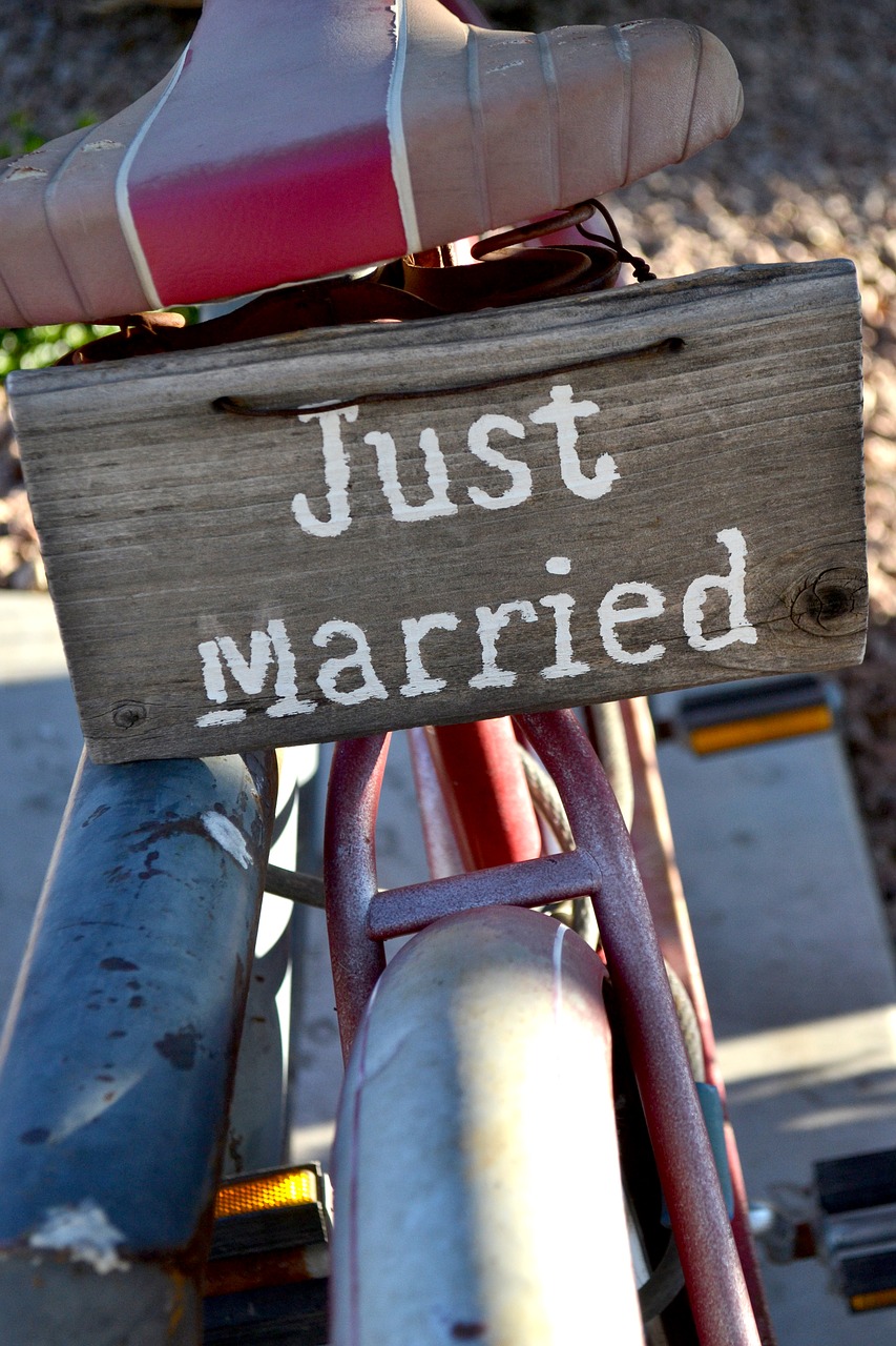 bicycle just married sign rustic bike free photo