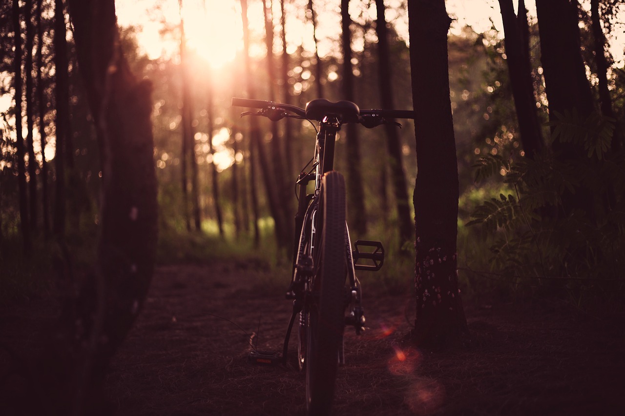 bicycle bike dark free photo