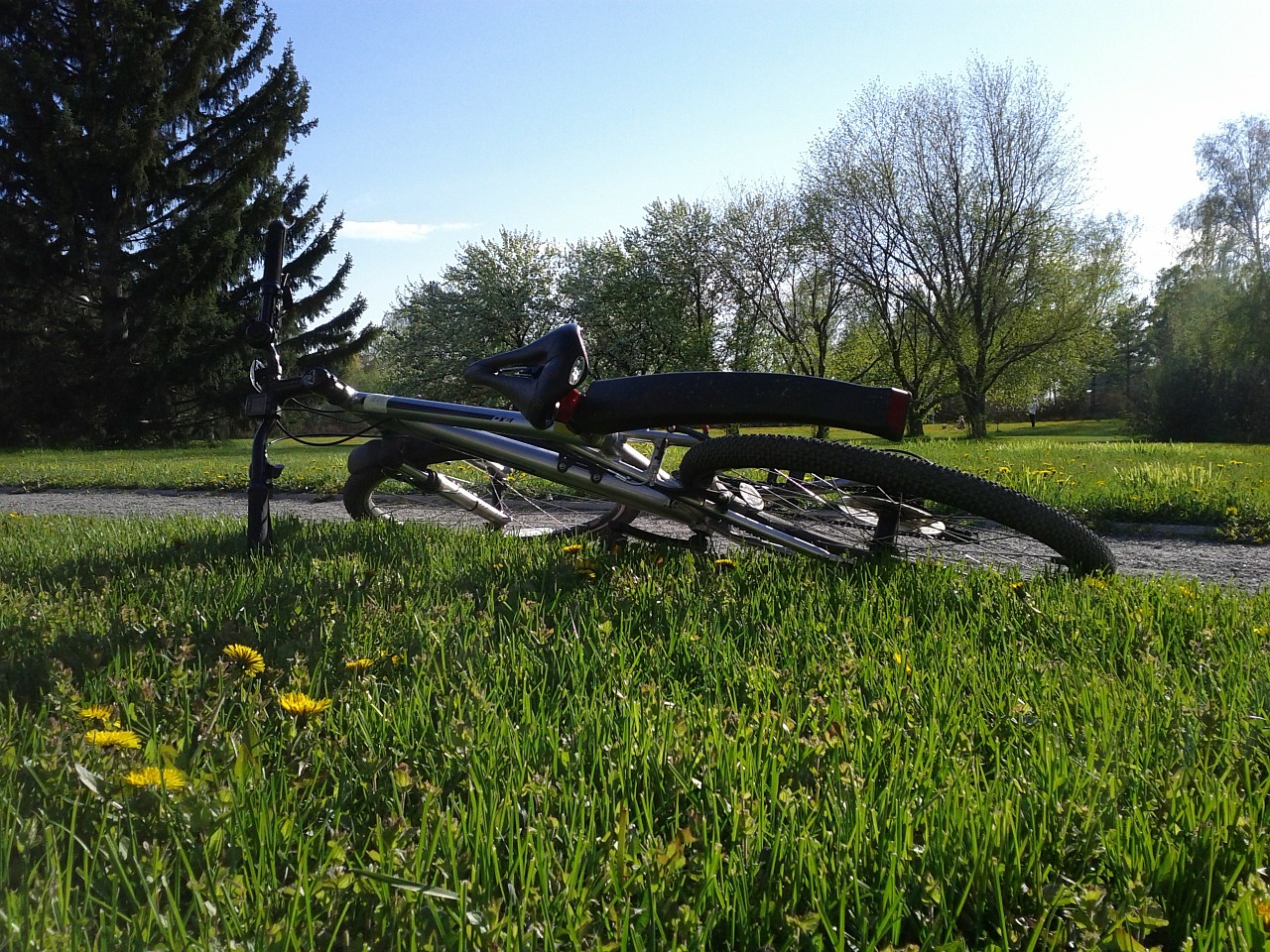 bicycle bike lawn free photo