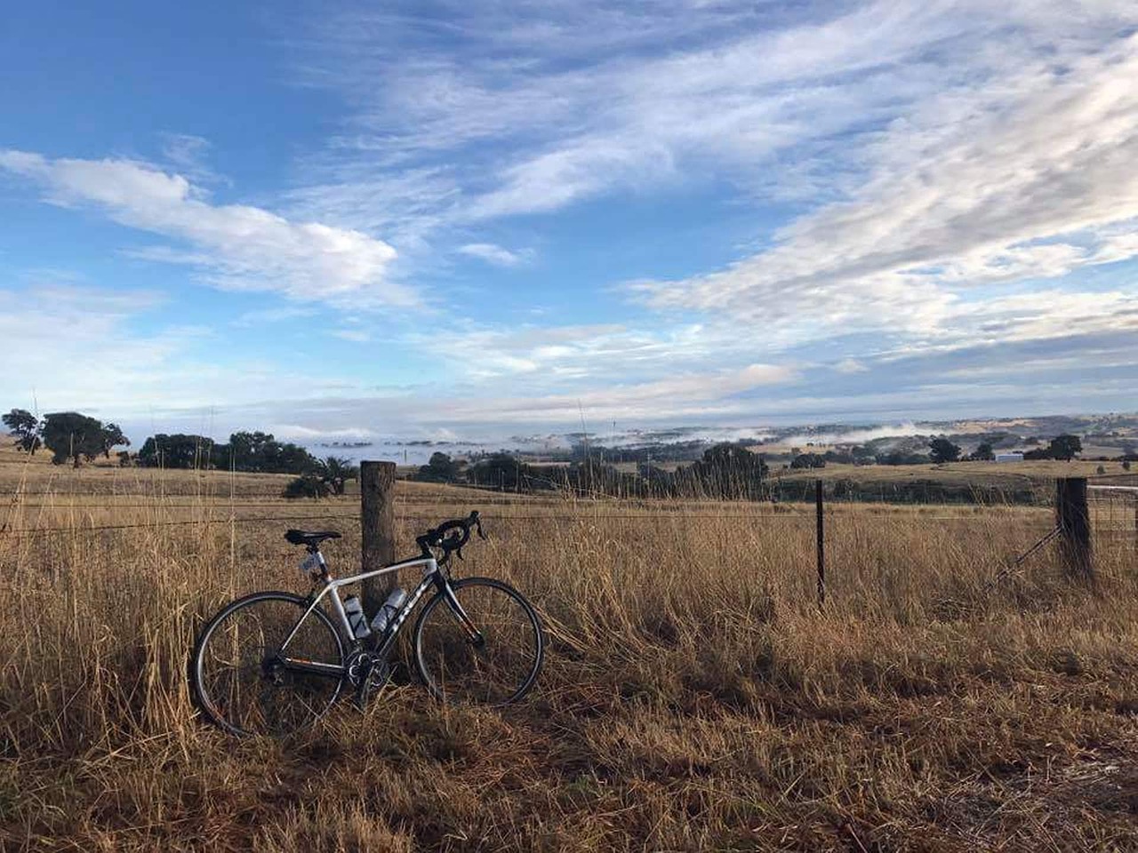 bicycle bike outdoor free photo