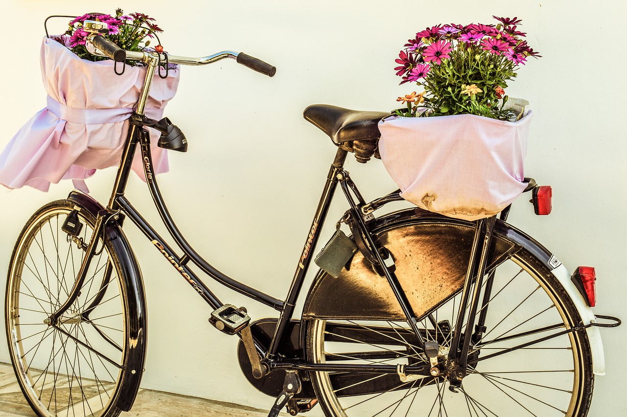 bicycle flowers basket free photo