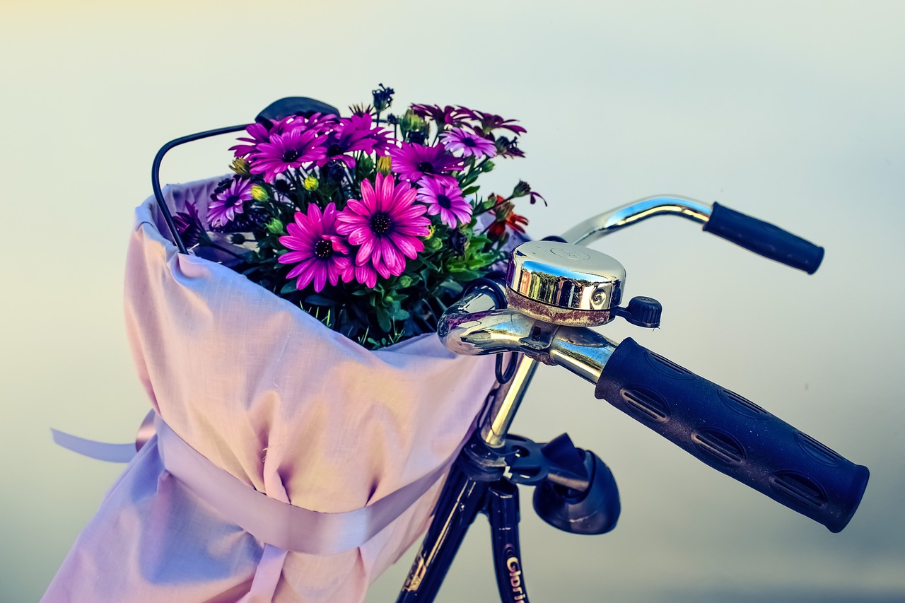 bicycle flowers basket free photo