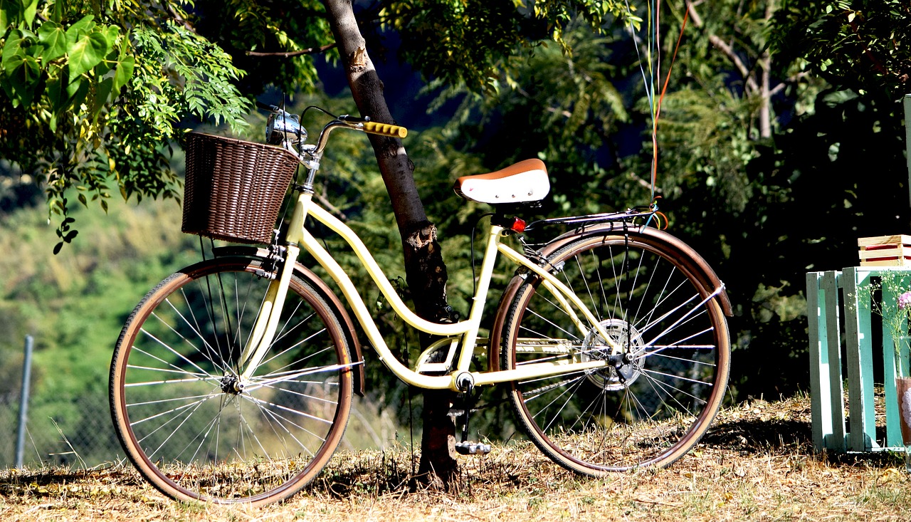 bicycle old communion free photo