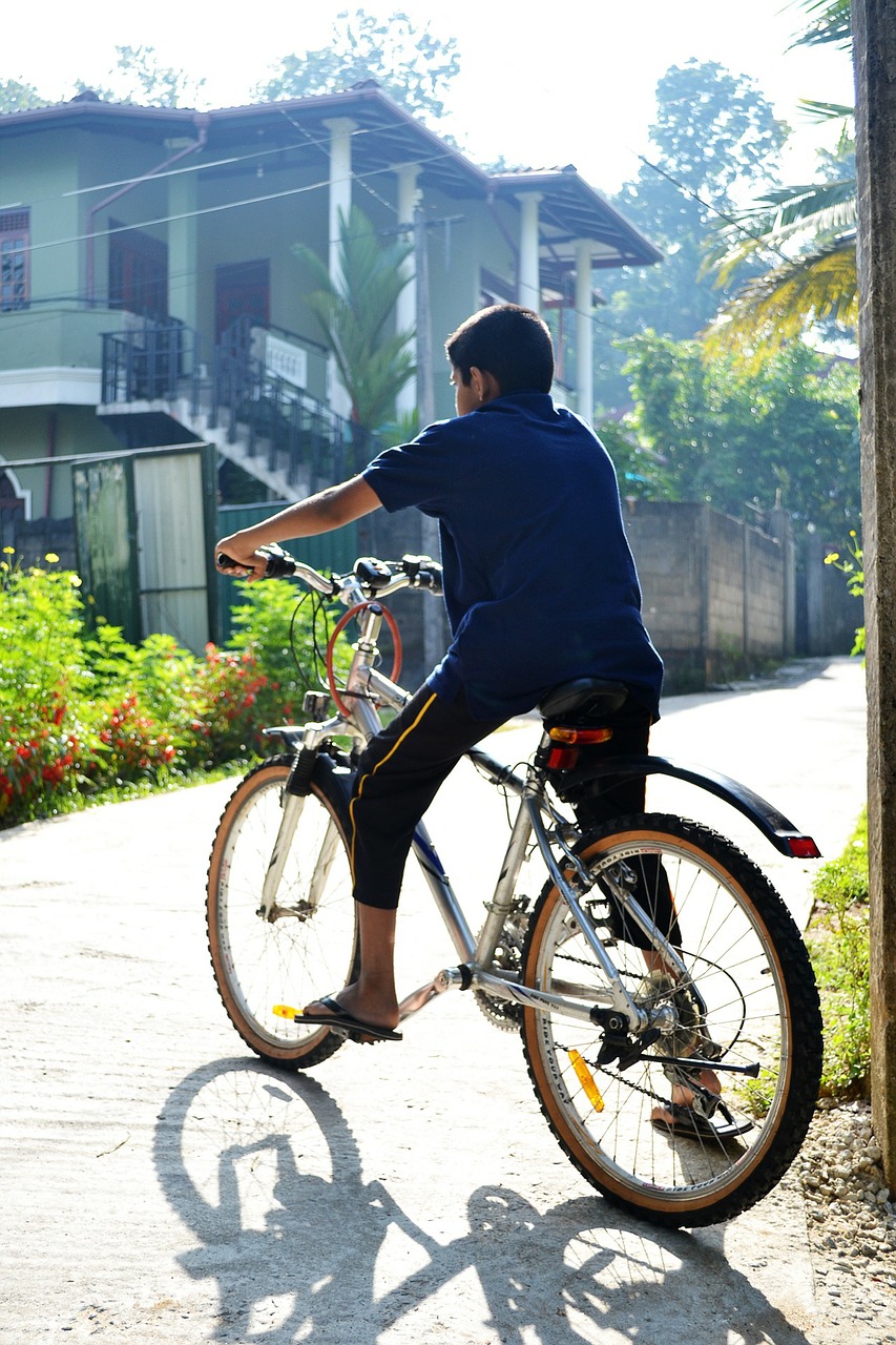 bicycle boy morning free photo