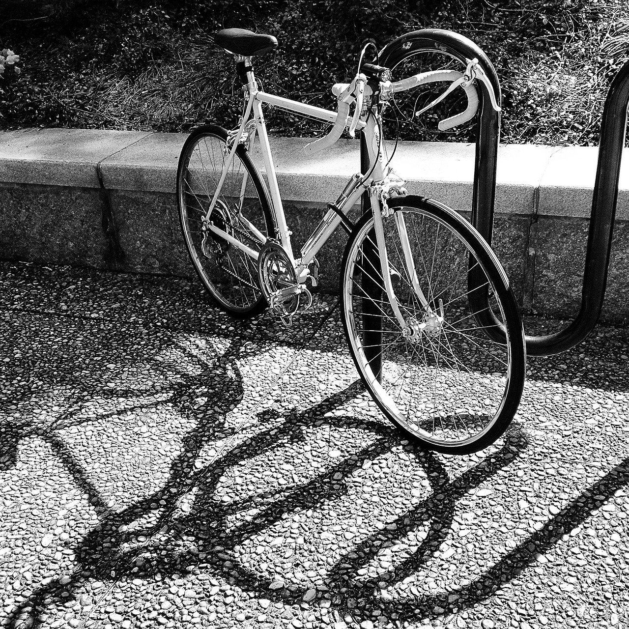 bicycle cycle retro free photo