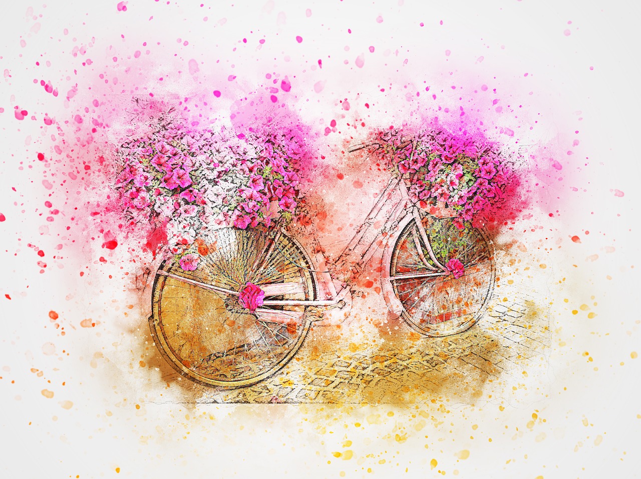 bicycle flowers pink free photo