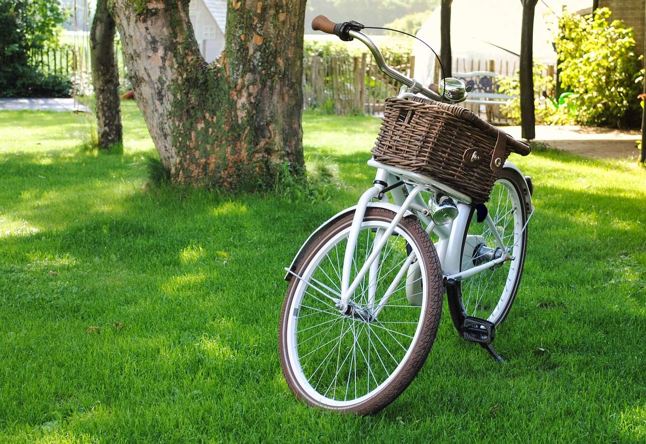 bicycle basket transport free photo