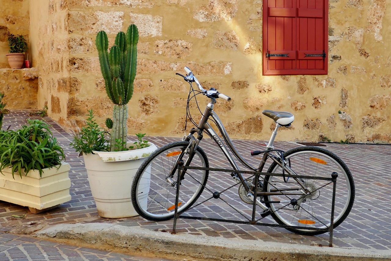 bicycle bike cactus free photo