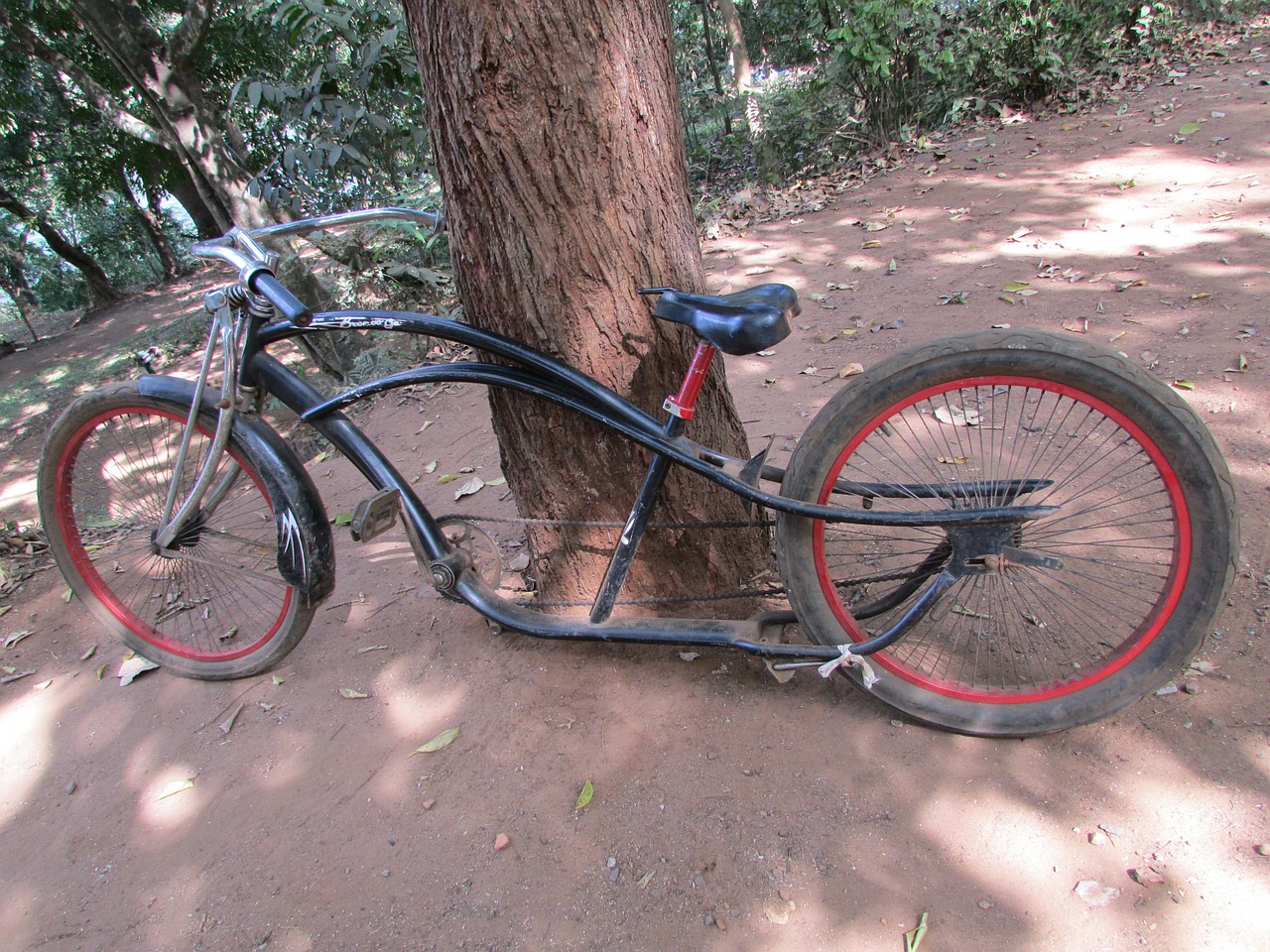 bicycle bike vintage free photo