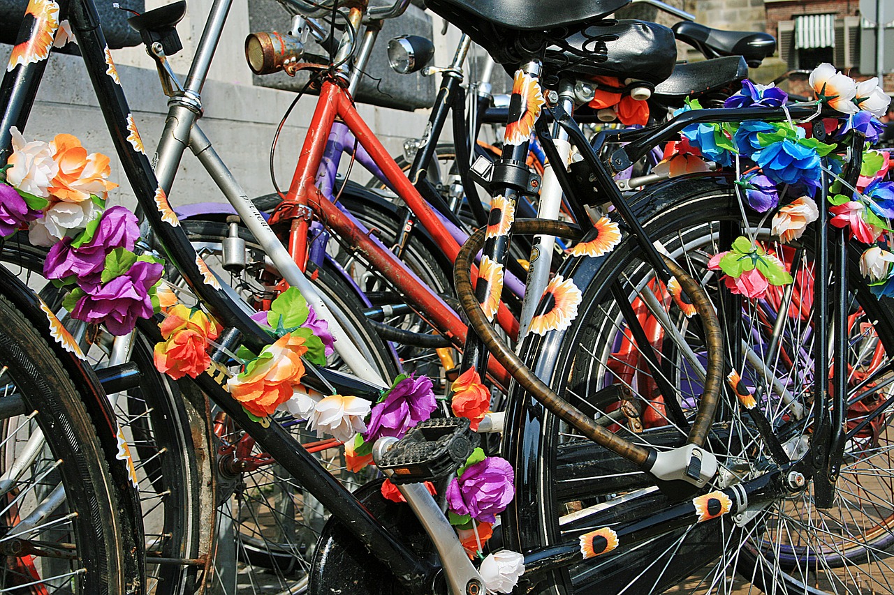 bicycle cycling transport free photo