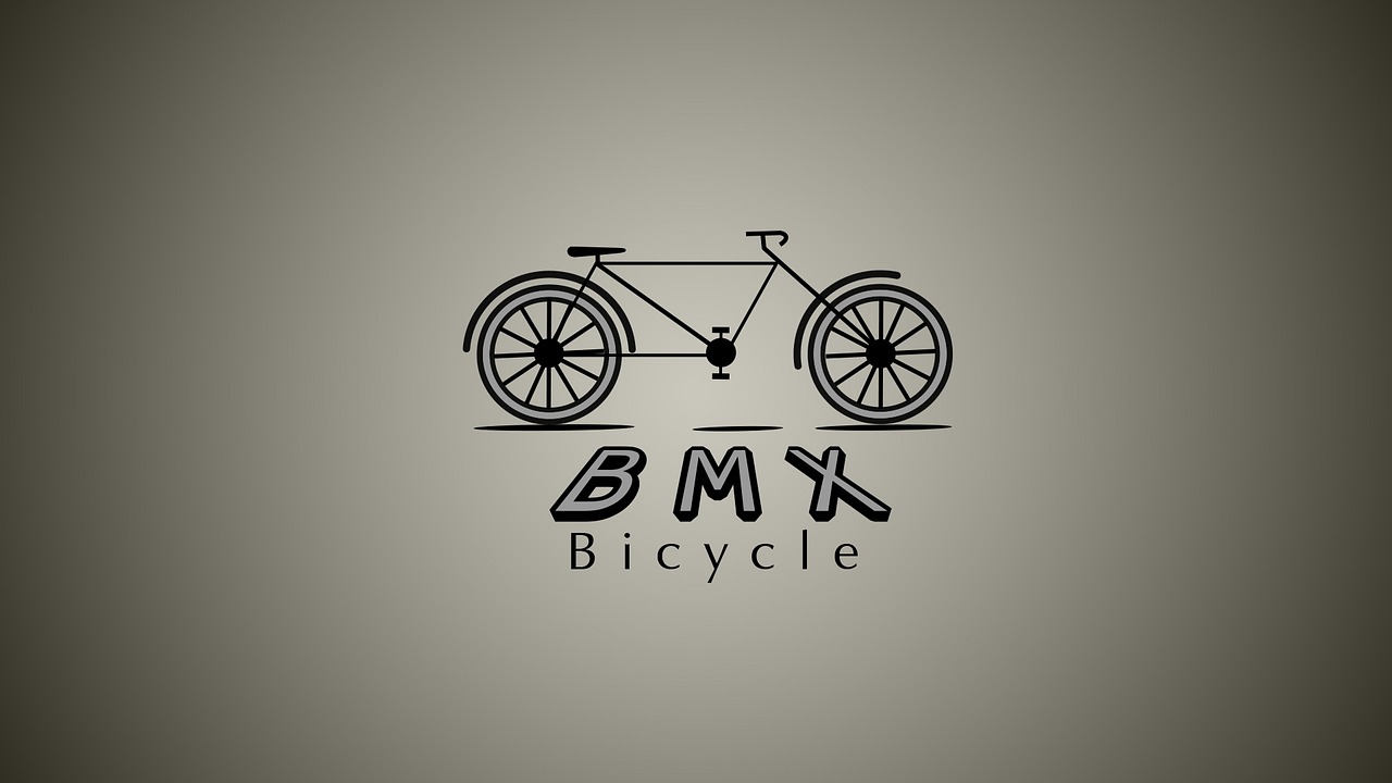 bicycle black rims free photo