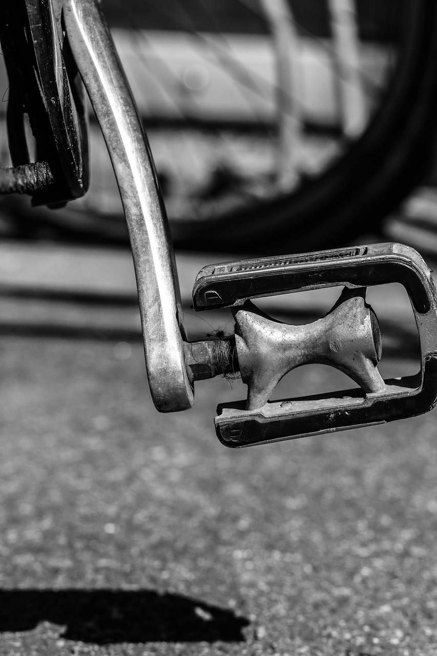 bicycle bike pedal free photo